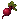 Beet