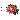 Chrysanthemum
