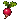 Radish