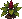Amaranth: near-mature
