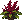 Amaranth: mature