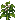Bush bean: near-mature