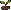 Beet: sprout