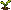 Corn: sprout
