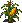 Corn: mature