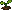 Cucumber: sprout