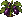 Eggplant: mature
