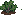 Kale: near-mature
