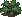 Kale: mature
