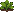 Lettuce: juvenile
