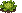 Lettuce: near-mature