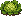 Lettuce: mature