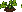 Melon: juvenile