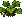 Melon: near-mature