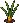 Onion: near-mature