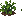 Peas: near-mature