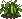 Peas: mature