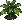 Pepper: near-mature
