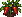 Pepper: mature