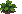 Potato: near-mature
