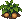 Potato: mature