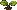 Pumpkin: sprout
