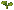 Turnip: sprout