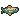 Brook trout