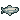 Lake whitefish