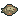 Rock bass