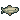 White sucker