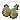 Beaked hazelnut