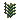 Spruce tips