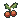 Wintergreen berries